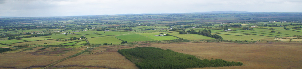 Raised-Bog-Restoration-Project-Ireland